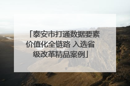 泰安市打通数据要素价值化全链路 入选省级改革精品案例