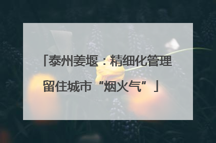 泰州姜堰：精细化管理留住城市“烟火气”