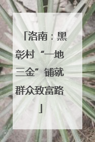 洛南：黑彰村“一地三金”铺就群众致富路