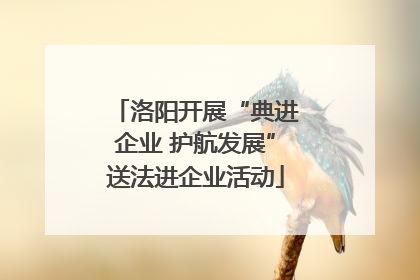 洛阳开展“典进企业 护航发展”送法进企业活动