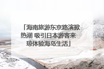 海南旅游东京路演掀热潮 吸引日本游客来琼体验海岛生活