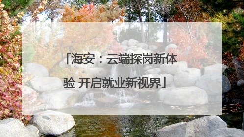 海安：云端探岗新体验 开启就业新视界