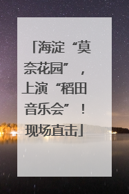 海淀“莫奈花园”，上演“稻田音乐会”！现场直击