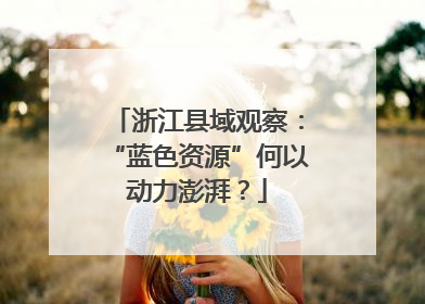 浙江县域观察：“蓝色资源”何以动力澎湃？