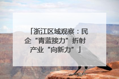 浙江区域观察：民企“青蓝接力”折射产业“向新力”