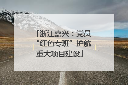 浙江嘉兴：党员“红色专班”护航重大项目建设
