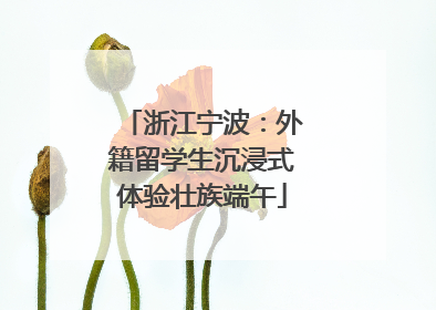 浙江宁波：外籍留学生沉浸式体验壮族端午