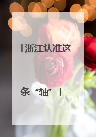 浙江认准这条“轴”