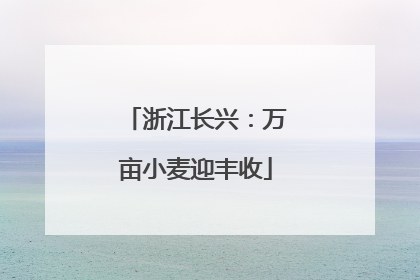 浙江长兴：万亩小麦迎丰收