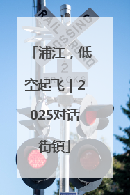 浦江，低空起飞｜2025对话街镇