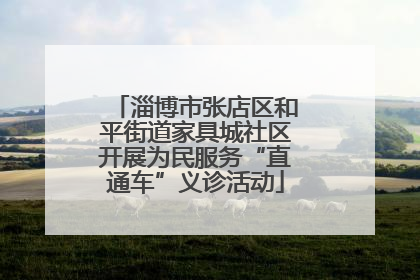 淄博市张店区和平街道家具城社区开展为民服务“直通车”义诊活动