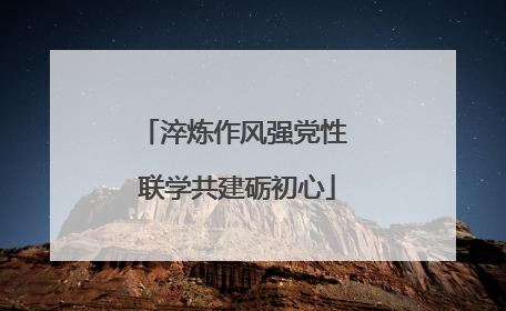 淬炼作风强党性 联学共建砺初心