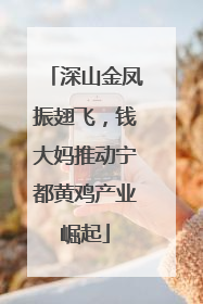 深山金凤振翅飞，钱大妈推动宁都黄鸡产业崛起