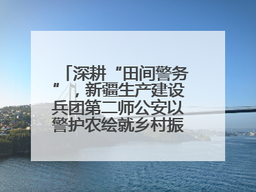 深耕“田间警务”，新疆生产建设兵团第二师公安以警护农绘就乡村振兴平安画卷