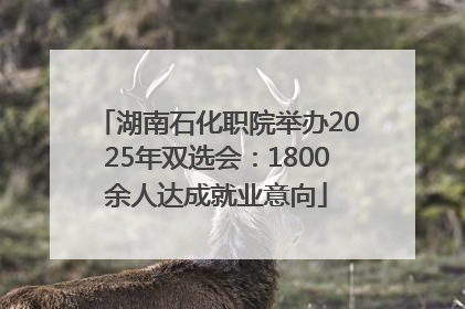 湖南石化职院举办2025年双选会：1800余人达成就业意向