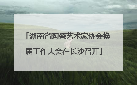 湖南省陶瓷艺术家协会换届工作大会在长沙召开