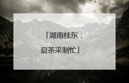 湖南桂东：夏茶采制忙