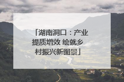 湖南洞口：产业提质增效 绘就乡村振兴新图景