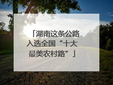 湖南这条公路入选全国“十大最美农村路”