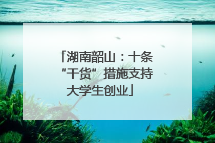 湖南韶山：十条“干货”措施支持大学生创业