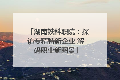 湖南铁科职院：探访专精特新企业 解码职业新图景
