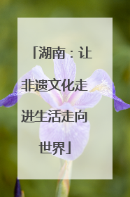 湖南：让非遗文化走进生活走向世界