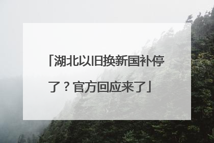 湖北以旧换新国补停了？官方回应来了