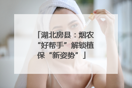 湖北房县：烟农“好帮手”解锁植保“新姿势”