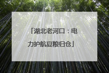 湖北老河口：电力护航夏粮归仓
