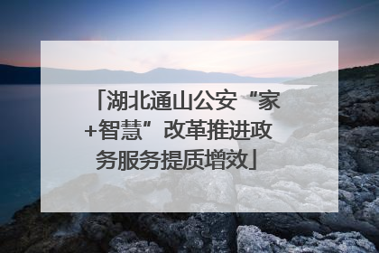湖北通山公安“家+智慧”改革推进政务服务提质增效