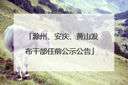 滁州、安庆、黄山发布干部任前公示公告