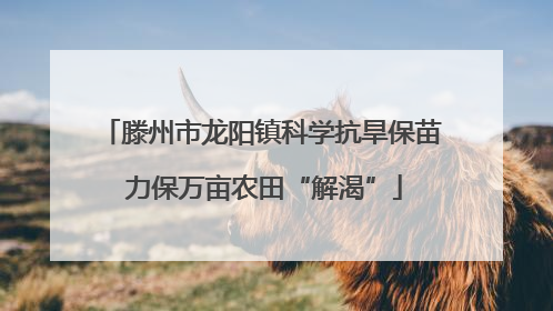 滕州市龙阳镇科学抗旱保苗 力保万亩农田“解渴”