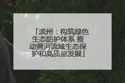 滨州：构筑绿色生态防护体系 推动黄河流域生态保护和高质量发展