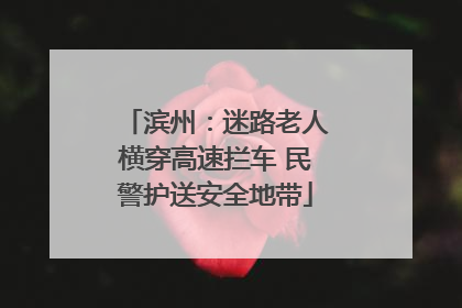 滨州：迷路老人横穿高速拦车 民警护送安全地带