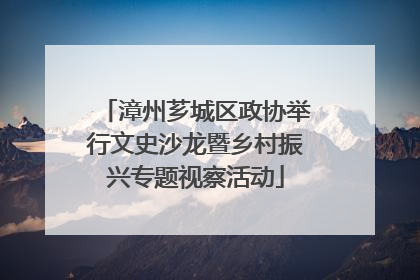 漳州芗城区政协举行文史沙龙暨乡村振兴专题视察活动