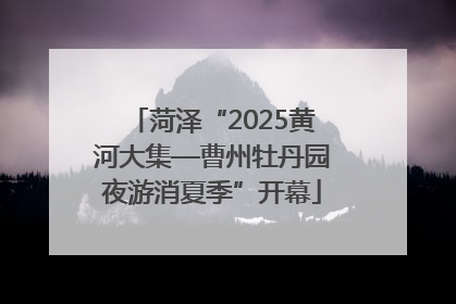 菏泽“2025黄河大集—曹州牡丹园夜游消夏季”开幕