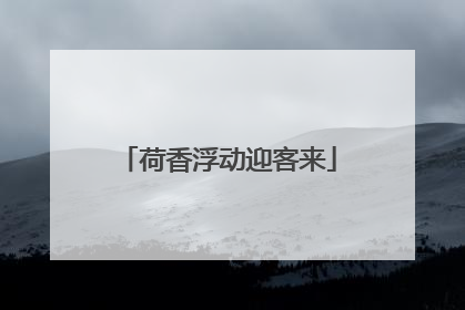 荷香浮动迎客来