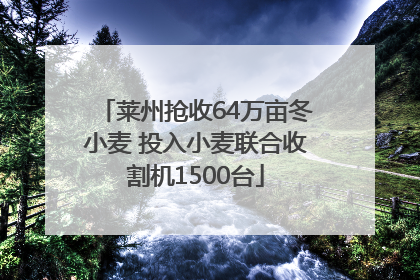 莱州抢收64万亩冬小麦 投入小麦联合收割机1500台