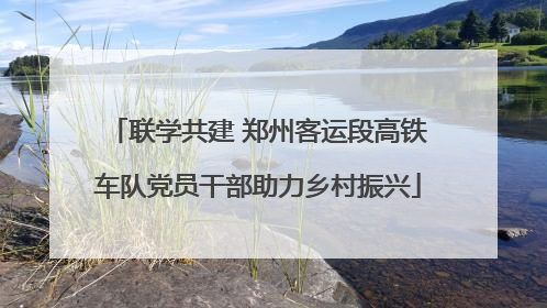 联学共建 郑州客运段高铁车队党员干部助力乡村振兴
