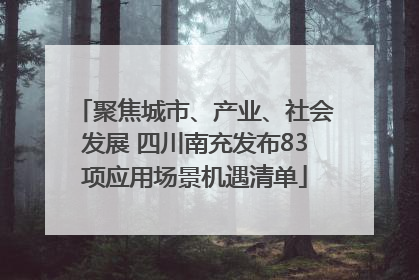 聚焦城市、产业、社会发展 四川南充发布83项应用场景机遇清单