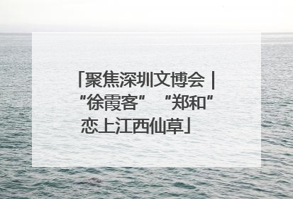 聚焦深圳文博会｜“徐霞客”“郑和”恋上江西仙草