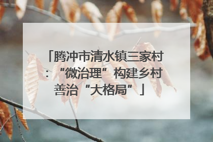 腾冲市清水镇三家村：“微治理”构建乡村善治“大格局”