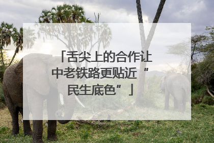 舌尖上的合作让中老铁路更贴近“民生底色”