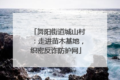 舞阳街道城山村：走进苗木基地，织密反诈防护网