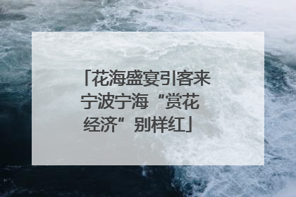 花海盛宴引客来 宁波宁海“赏花经济”别样红