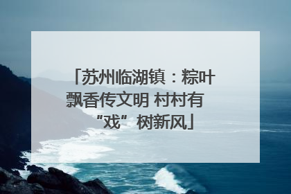 苏州临湖镇：粽叶飘香传文明 村村有“戏”树新风