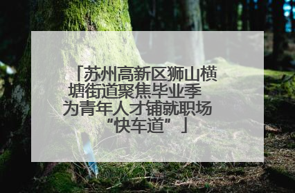 苏州高新区狮山横塘街道聚焦毕业季 为青年人才铺就职场“快车道”