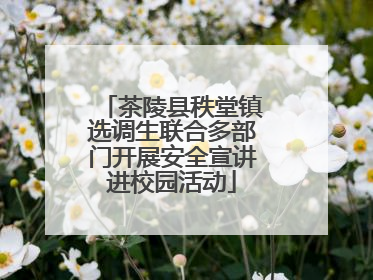 茶陵县秩堂镇选调生联合多部门开展安全宣讲进校园活动