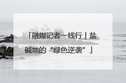 融媒记者一线行｜盐碱地的“绿色逆袭”