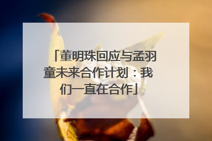 董明珠回应与孟羽童未来合作计划：我们一直在合作